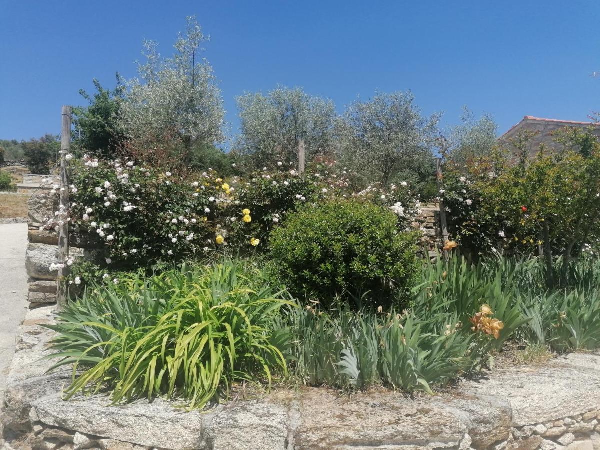 Rosas Da Granja - Casa De Campo Екстер'єр фото