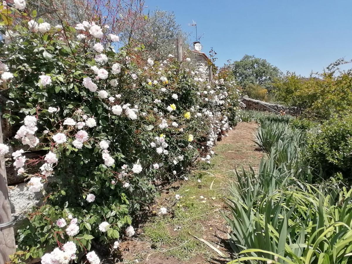 Rosas Da Granja - Casa De Campo Екстер'єр фото